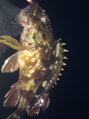 hideup 横山直人 ブログ写真 2015/02/19