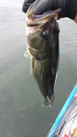 hideup 讓ｪ螻ｱ逶ｴ莠ｺ 繝悶Ο繧ｰ蜀咏悄 2014/10/02