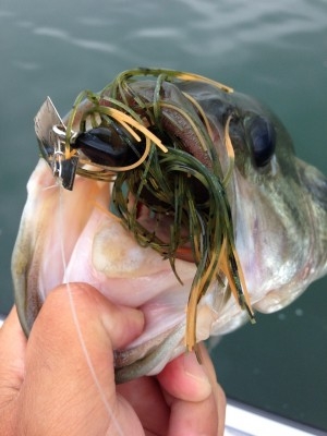 hideup 横山直人 ブログ写真 2015/07/05