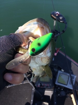 hideup 横山直人 ブログ写真 2015/10/18