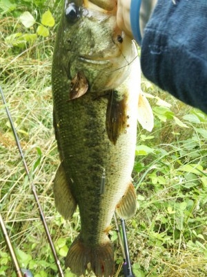 hideup 横山直人 ブログ写真 2015/06/08