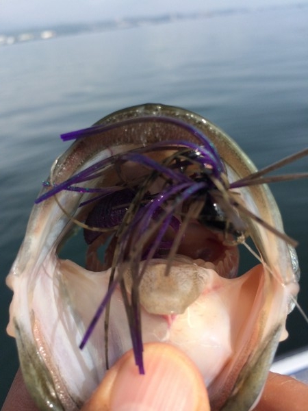 hideup 讓ｪ螻ｱ逶ｴ莠ｺ 繝悶Ο繧ｰ蜀咏悄 2014/09/06