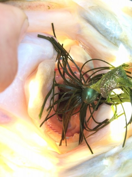 hideup 讓ｪ螻ｱ逶ｴ莠ｺ 繝悶Ο繧ｰ蜀咏悄 2014/07/21