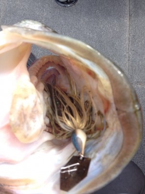 hideup 讓ｪ螻ｱ逶ｴ莠ｺ 繝悶Ο繧ｰ蜀咏悄 2016/04/17