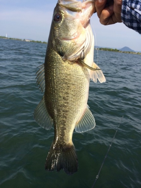 hideup 讓ｪ螻ｱ逶ｴ莠ｺ 繝悶Ο繧ｰ蜀咏悄 2014/05/24