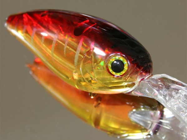 hideup 讓ｪ螻ｱ逶ｴ莠ｺ 繝悶Ο繧ｰ蜀咏悄 2015/06/02