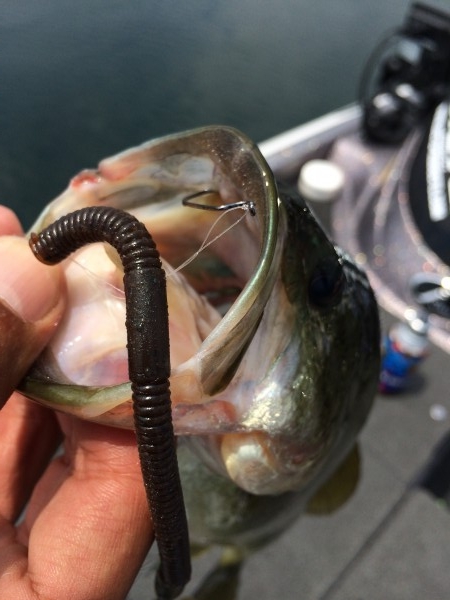 hideup 讓ｪ螻ｱ逶ｴ莠ｺ 繝悶Ο繧ｰ蜀咏悄 2014/07/21