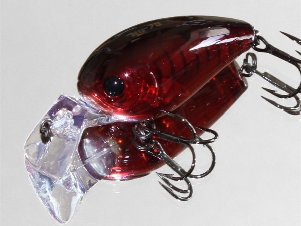 hideup 讓ｪ螻ｱ逶ｴ莠ｺ 繝悶Ο繧ｰ蜀咏悄 2014/08/21