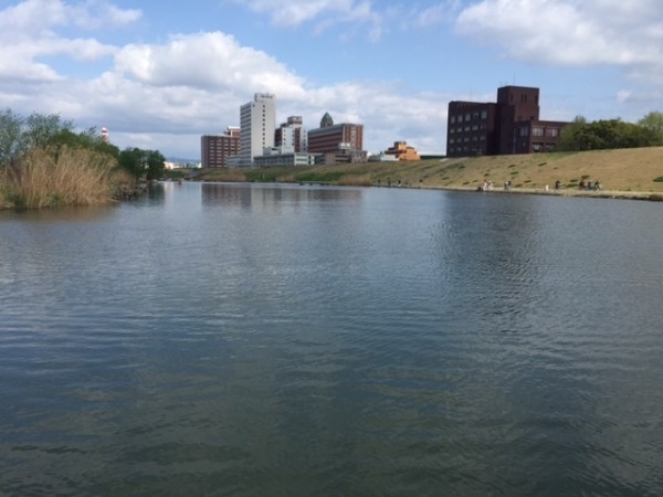 hideup 横山直人 ブログ写真 2015/04/11