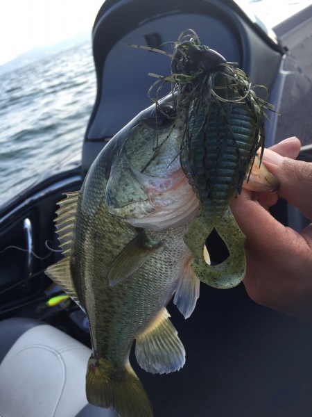 hideup 讓ｪ螻ｱ逶ｴ莠ｺ 繝悶Ο繧ｰ蜀咏悄 2016/07/18