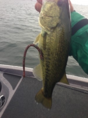 hideup 横山直人 ブログ写真 2014/08/12