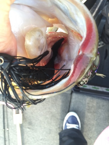 hideup 讓ｪ螻ｱ逶ｴ莠ｺ 繝悶Ο繧ｰ蜀咏悄 2015/03/21