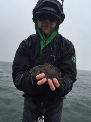 hideup 横山直人 ブログ写真 2015/04/05