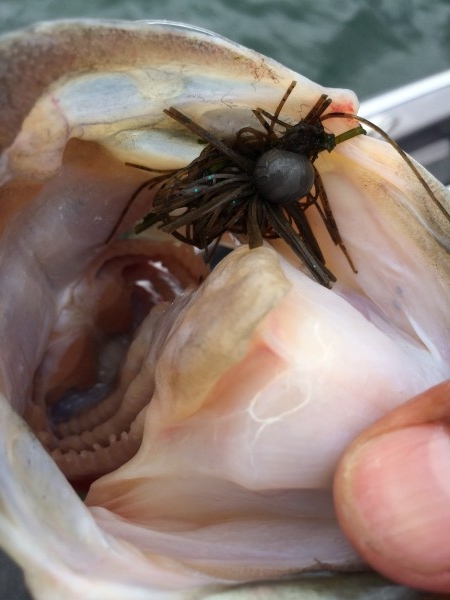 hideup 讓ｪ螻ｱ逶ｴ莠ｺ 繝悶Ο繧ｰ蜀咏悄 2014/07/05