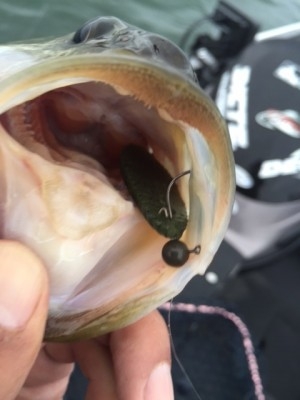 hideup 横山直人 ブログ写真 2015/04/05