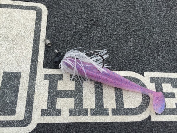 hideup 讓ｪ螻ｱ逶ｴ莠ｺ 繝悶Ο繧ｰ蜀咏悄 2016/04/11