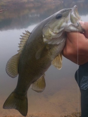 hideup 横山直人 ブログ写真 2014/11/18