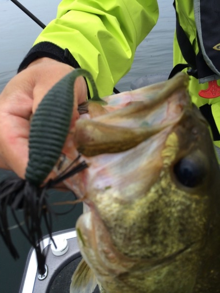 hideup 讓ｪ螻ｱ逶ｴ莠ｺ 繝悶Ο繧ｰ蜀咏悄 2014/07/14