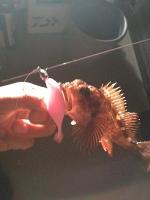 hideup 横山直人 ブログ写真 2015/01/14