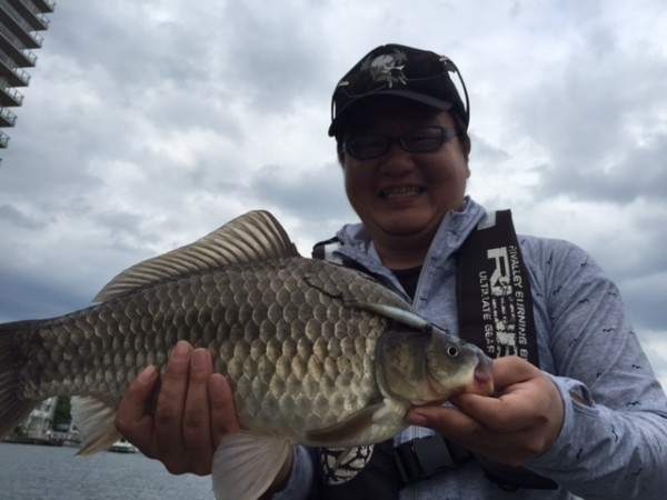hideup 横山直人 ブログ写真 2015/05/04