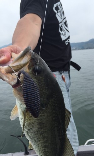 hideup 讓ｪ螻ｱ逶ｴ莠ｺ 繝悶Ο繧ｰ蜀咏悄 2016/07/17