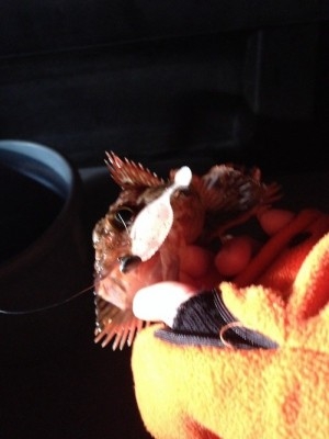 hideup 横山直人 ブログ写真 2015/01/15