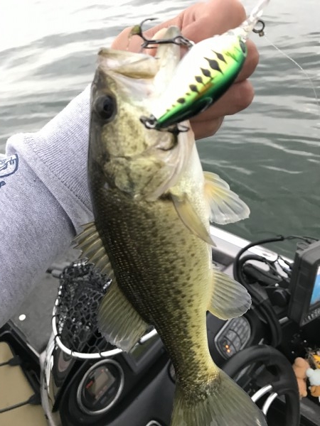 hideup 横山直人 ブログ写真 2016/11/20