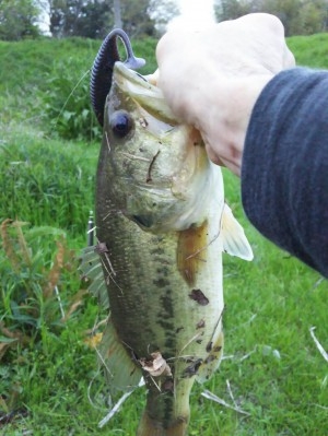 hideup 讓ｪ螻ｱ逶ｴ莠ｺ 繝悶Ο繧ｰ蜀咏悄 2016/05/05