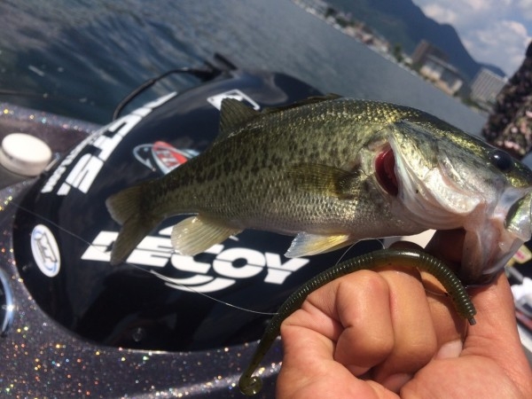 hideup 横山直人 ブログ写真 2015/08/15