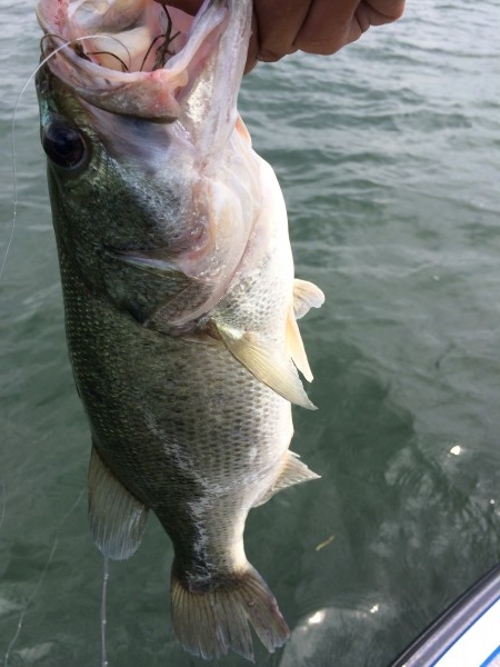 hideup 讓ｪ螻ｱ逶ｴ莠ｺ 繝悶Ο繧ｰ蜀咏悄 2014/07/05