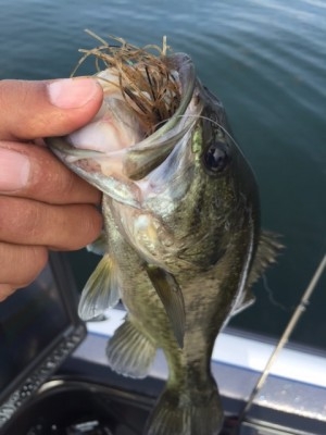 hideup 横山直人 ブログ写真 2015/07/12