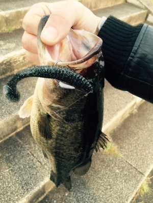 hideup 横山直人 ブログ写真 2015/04/06