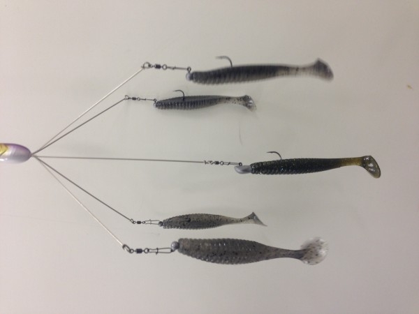 hideup 讓ｪ螻ｱ逶ｴ莠ｺ 繝悶Ο繧ｰ蜀咏悄 2015/12/01