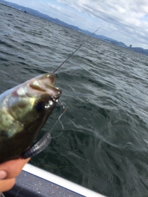 hideup 横山直人 ブログ写真 2015/08/23