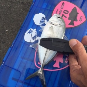 hideup 横山直人 ブログ写真 2015/12/17