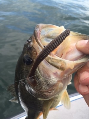 hideup 讓ｪ螻ｱ逶ｴ莠ｺ 繝悶Ο繧ｰ蜀咏悄 2015/06/04