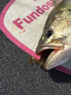 hideup 讓ｪ螻ｱ逶ｴ莠ｺ 繝悶Ο繧ｰ蜀咏悄 2015/05/07