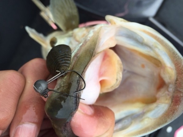 hideup 横山直人 ブログ写真 2015/04/19