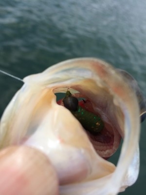 hideup 横山直人 ブログ写真 2014/03/02