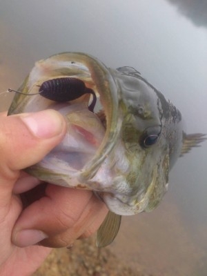 hideup 横山直人 ブログ写真 2014/11/18