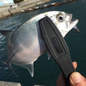 hideup 横山直人 ブログ写真 2015/12/17