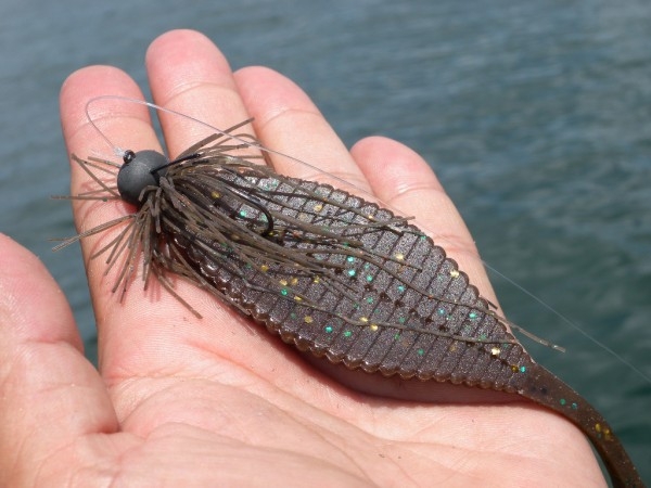 hideup 横山直人 ブログ写真 2015/05/12