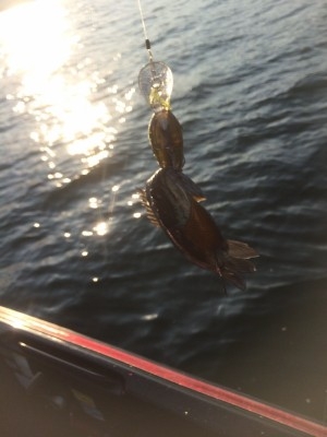 hideup 横山直人 ブログ写真 2015/10/18