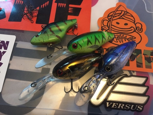 hideup 横山直人 ブログ写真 2016/11/05