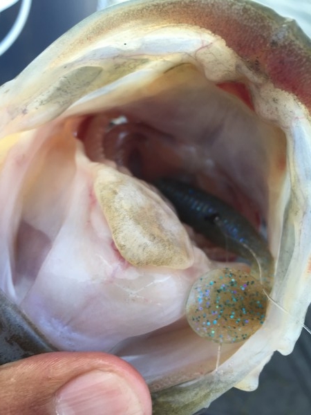 hideup 讓ｪ螻ｱ逶ｴ莠ｺ 繝悶Ο繧ｰ蜀咏悄 2016/05/07