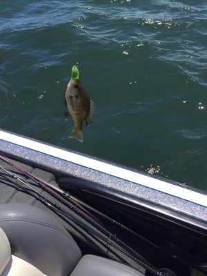 hideup 横山直人 ブログ写真 2015/07/20