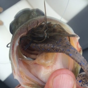 hideup 讓ｪ螻ｱ逶ｴ莠ｺ 繝悶Ο繧ｰ蜀咏悄 2014/06/24