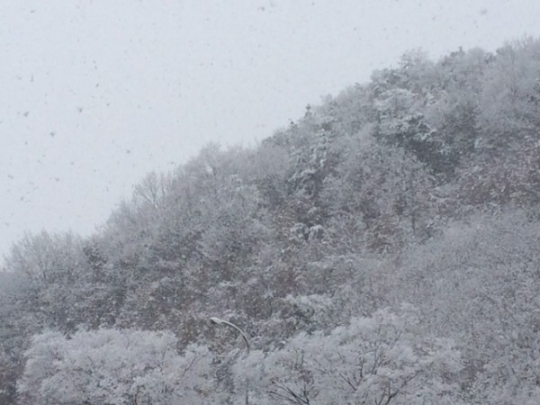 hideup 横山直人 ブログ写真 2014/02/15