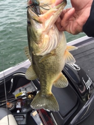 hideup 横山直人 ブログ写真 2015/03/15