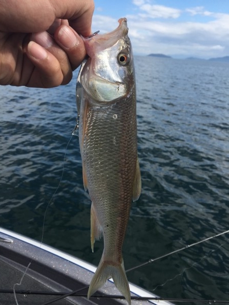 hideup 横山直人 ブログ写真 2015/11/03